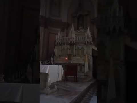 Adoración al Santísimo Sacramento del Altar con el Padre Fabian Esteban Oliva. 27/04/24