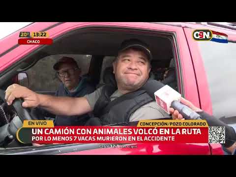 Un camión con animales volcó en la ruta de Concepción/Pozo Colorado