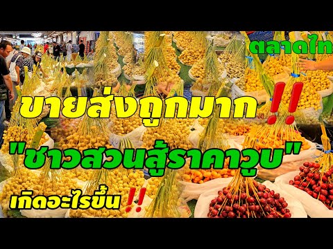 อินทผาลัมราคาส่งวูบ!ตลาดไทย‼️ผ