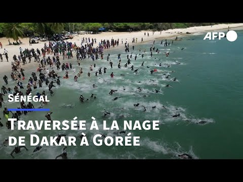 Sénégal: la traversée Dakar-Gorée réunit plus de 500 nageurs | AFP