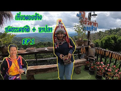 เที่ยวดอยช้างชมธรรมชาติEP.1