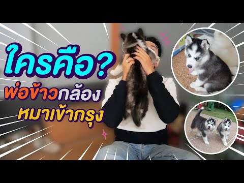 ใครคือ-พ่อข้าวกล้อง-หมาเข้ากรุ ใครคือ-พ่อข้าวกล้อง-หมาเข้ากรุ