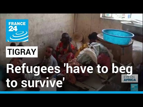 ‘Beg to survive’: The Tigray war refugees still languishing in camps • FRANCE 24 English