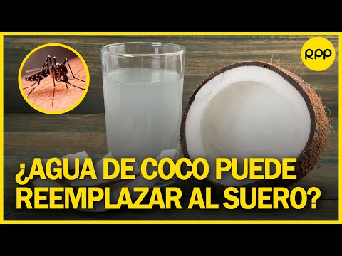 Dengue: Ciudadanos estarían utilizando agua de coco ante la falta de suero