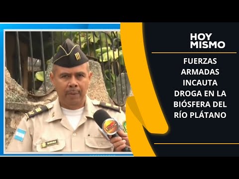 Fuerzas Armadas incauta droga en la biósfera del Río Plátano