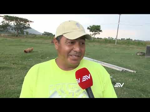 Robo de ganado aumenta en las haciendas del Guayas