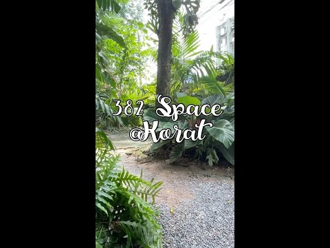 #Shorts-#382space-@Korat #Shorts-#382space-@Korat