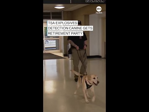 TSA explosives detection canine gets retirement party