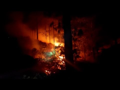 El fuego de Tejeda (Gran Canaria) progresa poco durante la noche y se frena su avance