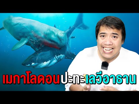 MegalodonเคยปะทะกับLivyatan