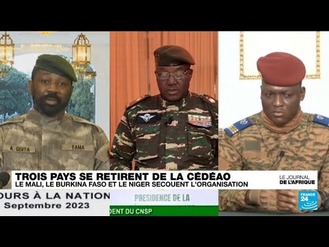 Nouvelle crise à la CEDEAO, réaction de la diaspora malienne à Dakar • FRANCE 24