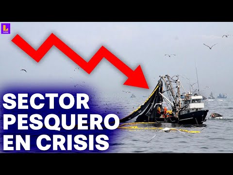 La mayor crisis en al menos 30 años: Tres empresas pesqueras anuncian paralización en Perú