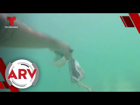 Encuentran decenas de mascarillas en las playas de Cancún | Al Rojo Vivo | Telemundo