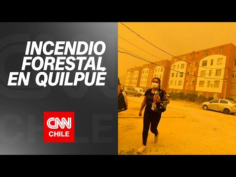 Incendio forestal en Quilpué: Onemi ordenó la evacuación de las viviendas del sector