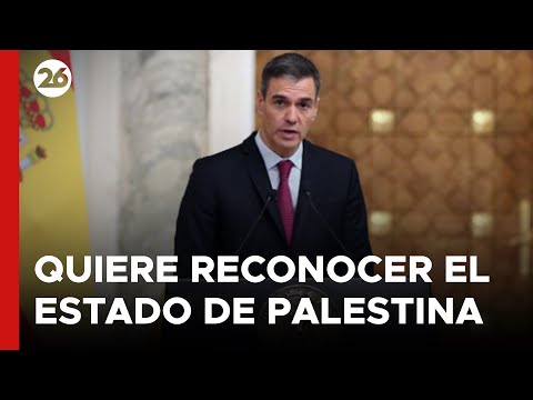 Pedro Sánchez reafirmó que España reconocerá a Palestina como un estado