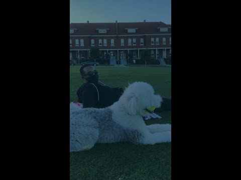 YouTube video thumbnail