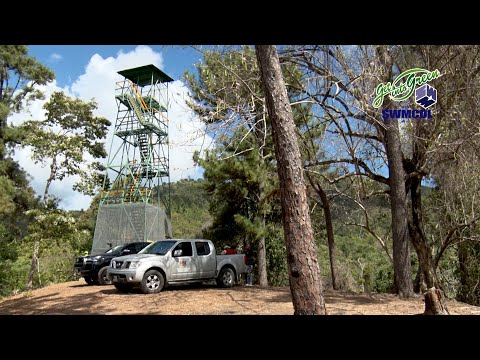 Keeping It Green - Forest Fire Tower