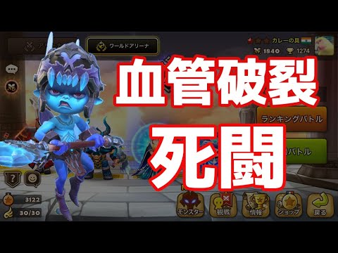 死闘(血管破裂編)【Summoners War】