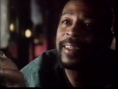 MARVIN GAYE  : Trouble Man - The Last Years of Marvin Gaye