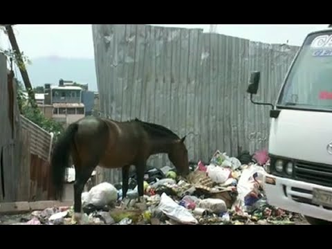 “Bulto de basura” ocupa un carril en la calle principal de La Sosa