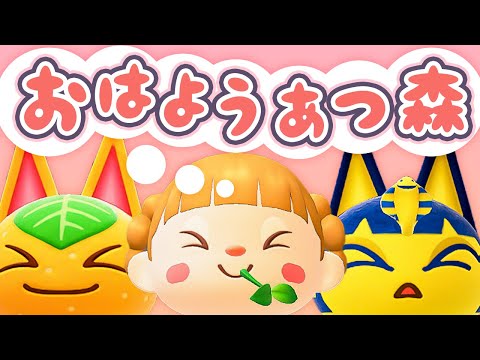 朝活🐓おはようあつ森！8/12(火)