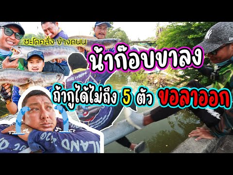 น้าก๊อบขาลง-ถ้ากูได้ไม่ถึง-5-ต น้าก๊อบขาลง-ถ้ากูได้ไม่ถึง-5-ต
