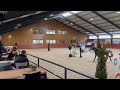 Show jumping horse Fijne aansprekende 4 jarige merrie