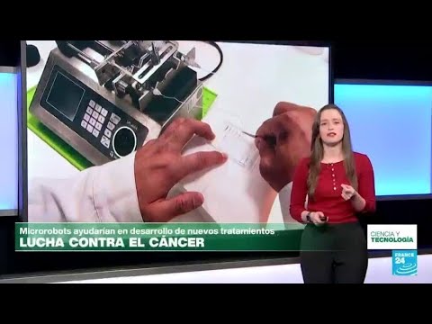 Fabrican microrobots que ayudarían a desarrollar tratamientos contra el cáncer • FRANCE 24 Español