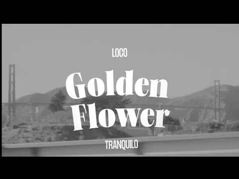 Loco Tranquilo Concert Tickets - 2026 Tour Dates.