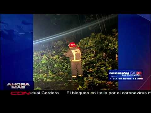 Tránsito paralizado en la carretera Jarabacoa-La Vega por caída de arboles