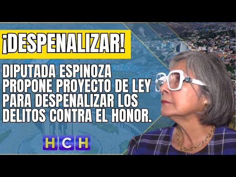 Diputada Espinoza presenta proyecto de Ley para despenalizar delitos contra el honor