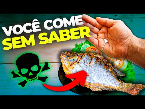Thumbnail Video Youtube