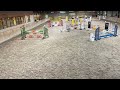 Show jumping horse 12 jarige Carrera VDL x Indorado merrie