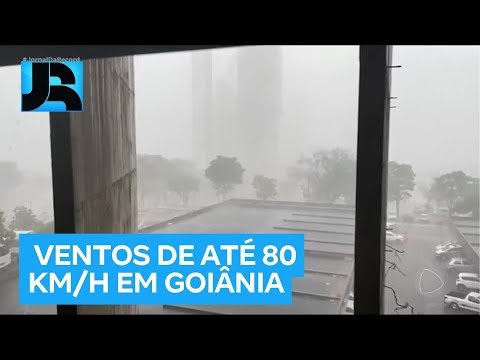 Temporais em Goiás causam alagamentos e derrubam árvores