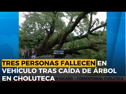 Tres personas perdieron la vida en vehículo tras caída de árbol en Choluteca