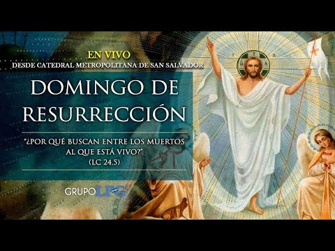EN VIVO: Misa solemne del Domingo de Resurrección. Señal de Catedral Metropolitana de San Salvador.