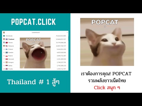 popcat-กระแสฮิตติดเทรนด์ระดับโ popcat-กระแสฮิตติดเทรนด์ระดับโ