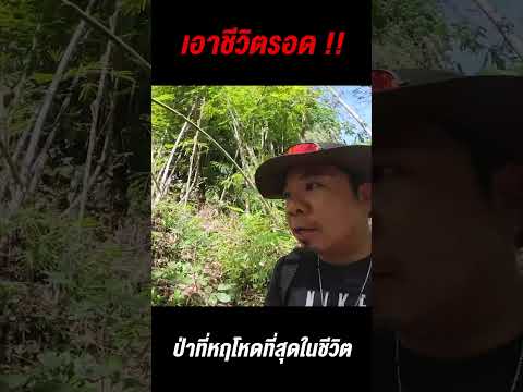 ระทึกใจ!เอาชีวิตรอดในป่าที่หฤ