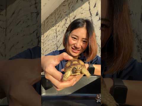 ให้อาหารน้องเต่ากัน🐢