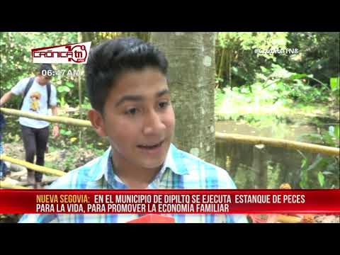 Cultivo de peces, iniciativa para la economía familiar en Nueva Segovia – Nicaragua