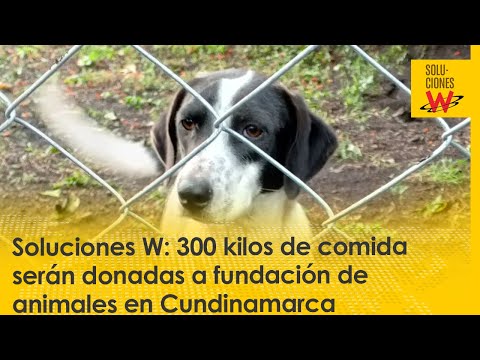 Soluciones W: 300 kilos de comida serán donadas a fundación de animales en Cundinamarca