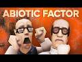  Abiotic Factor