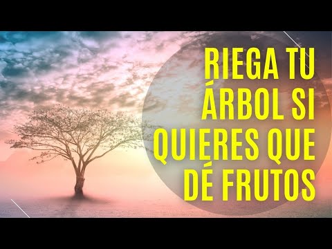 10/10/24 Riega tu árbol si quieres que dé frutos, por Marcos Ferreira