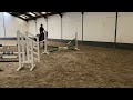 Springpaard veelbelovende 4 jarige spring merrie te koop