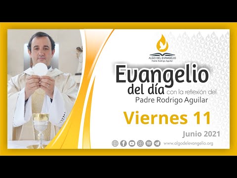 La paciencia y la humildad del corazón de Jesús te llenarán de alivio Padre Rodrigo Aguilar
