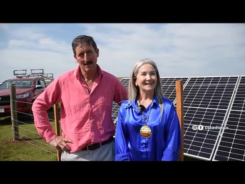 Día a Día  | UTE: Instalaron paneles solares y baterías en Mataojito, Salto