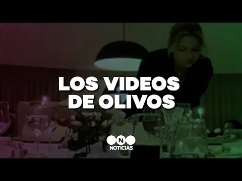 Los VIDEOS del CUMPLEAÑOS EN OLIVOS durante la CUARENTENA - Telefe Noticias