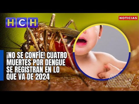 ¡No se confíe! Cuatro muertes por dengue se registran en lo que va de 2024