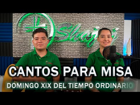 ESQUEMA Domingo XIX del tiempo ordinario   | SHAJAJ Ministerio Católic.