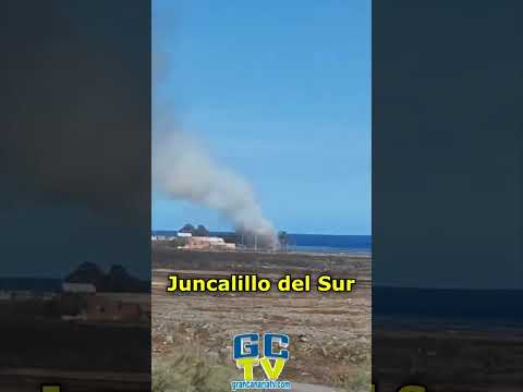 Extinguido incendio de vegetación en Juncalillo del Sur, San Bartolomé de Tirajana